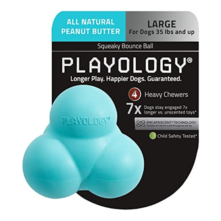 Playology Squeaky Dog Toys for Large Dogs
