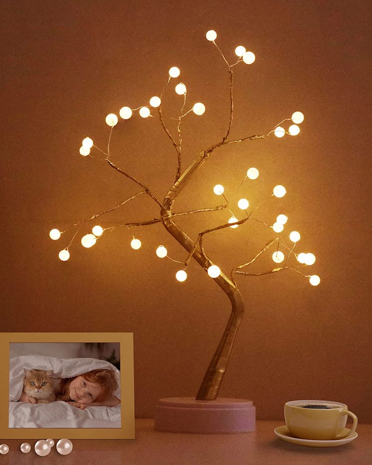 OTAVILEM Bonsai Tree Light