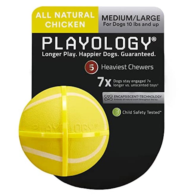 Playology Squeaky Dog Toy