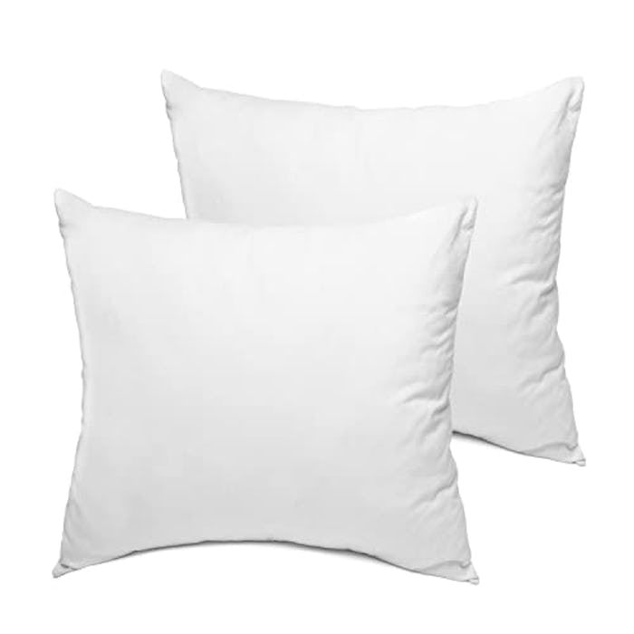 Sleep Restoration Pillow Inserts (2-Pack)