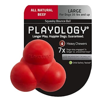 Playology Squeaky Bounce Ball Dog Toy