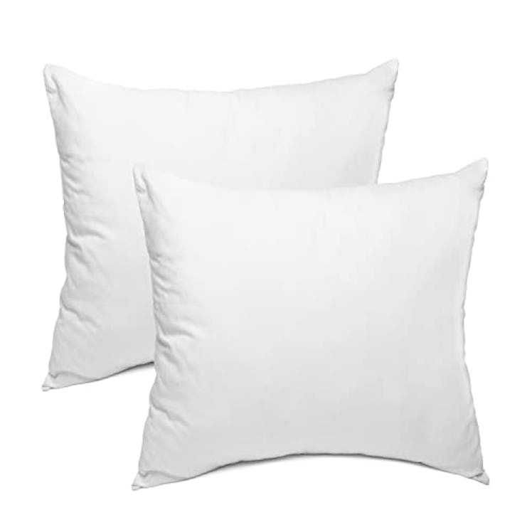 Sleep Restoration Pillow Inserts (2-Pack)