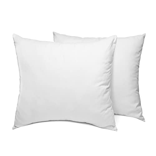 Sleep Restoration Pillow Inserts