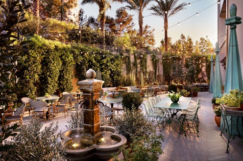 biophilic city hotels