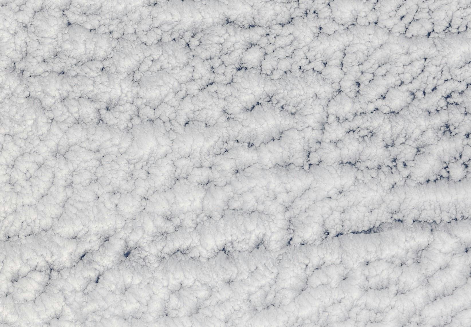Fluffy white clouds with a pebbly texture