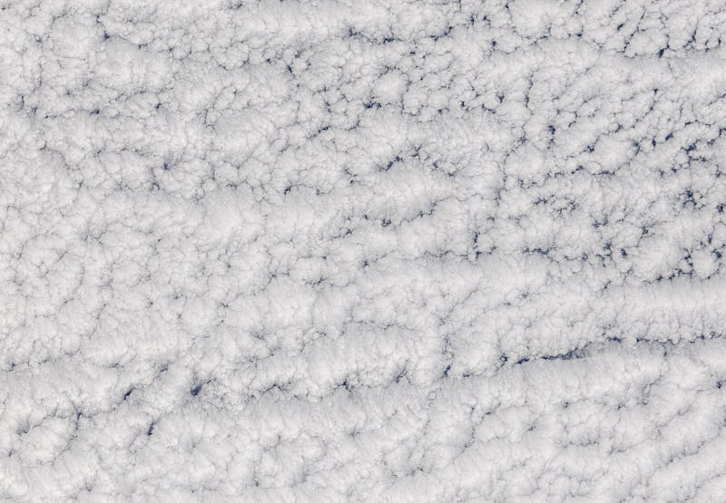Fluffy white clouds with a pebbly texture