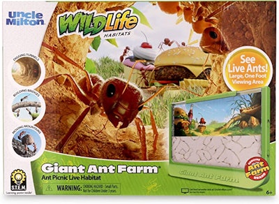 This Uncle Milton Giant Ant Farm is one of the best gifts for 4-year-olds.
