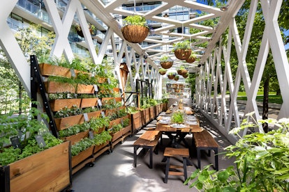 Biophilic Metropolis Inns That Enable You To Commune With Nature With out Leaving The Property