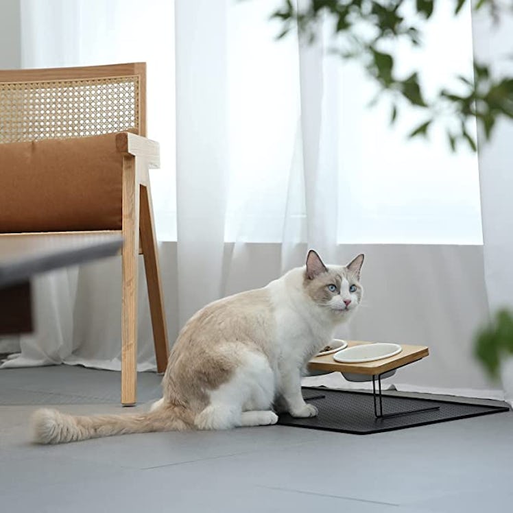 FUKUMARU Elevated Ceramic Pet Bowls