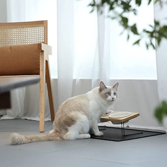 FUKUMARU Elevated Ceramic Pet Bowls