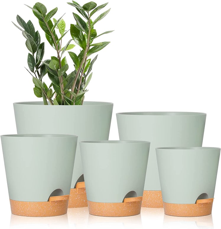 GARDIFE Self Watering Planters with Drainage Hole (5-Pack)
