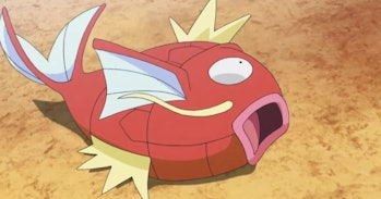 pokemon anime magikarp