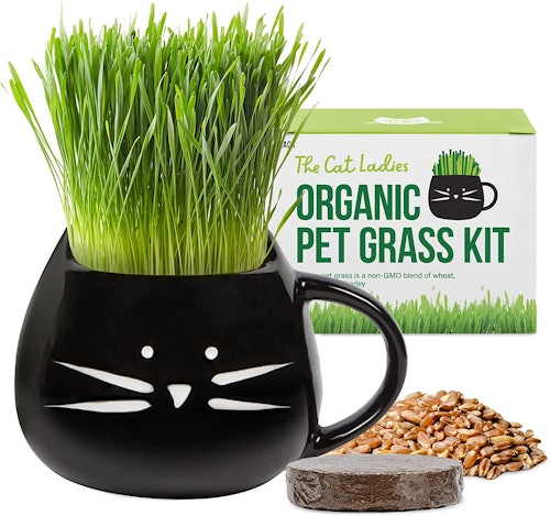 The Cat Ladies Organic Cat Grass Growing Kit