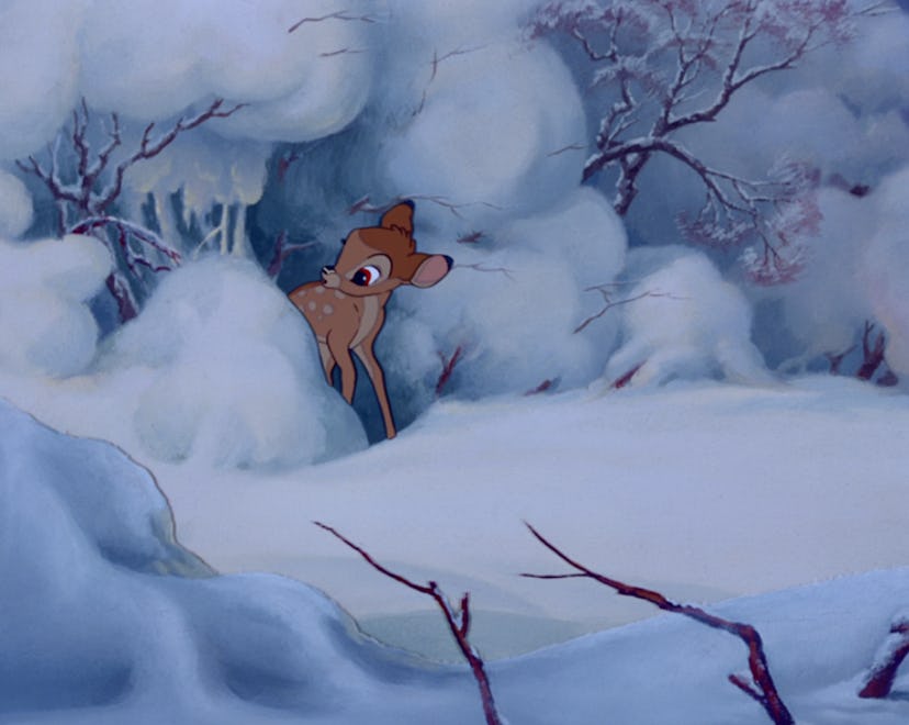 Bambi pokes his head out of his home to see snow.