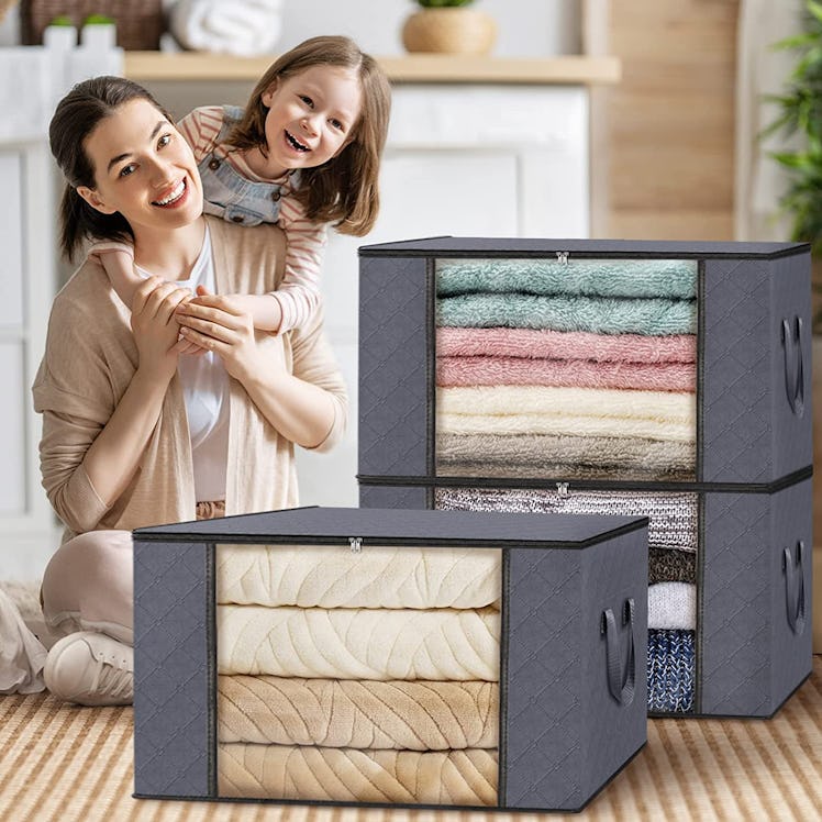 Fab totes Clothes Storage Bags (6-Pack)