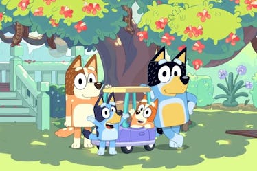 Bluey family