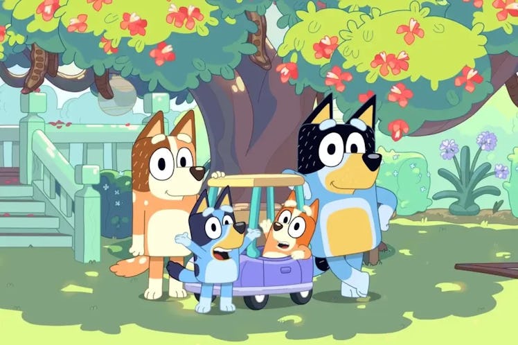 Bluey family