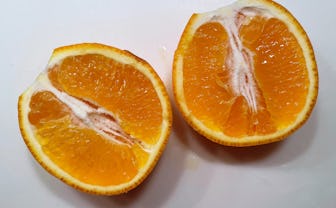 Minneola tangelo cut in half.