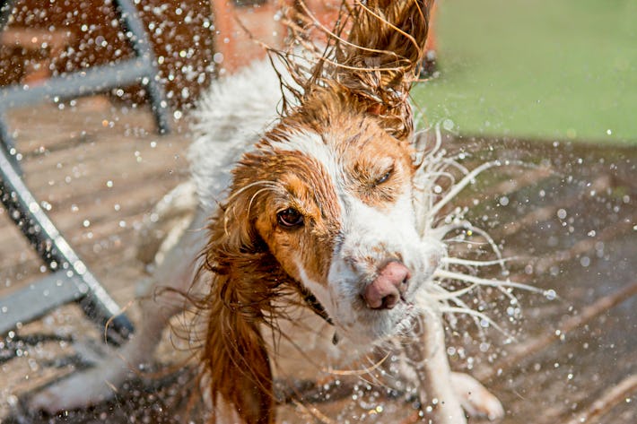 can-going-outside-with-wet-hair-make-you-sick-a-pediatrician-reveals