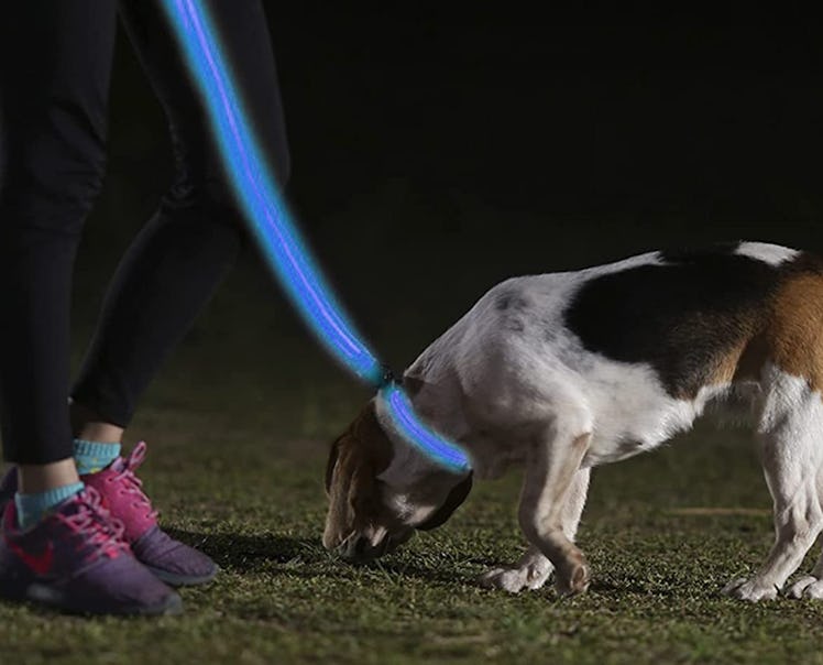 ILLUMISEEN LED Dog Leash