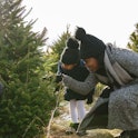 Many factors affect how long it takes for a Christmas tree to grow, including temperature and soil c...
