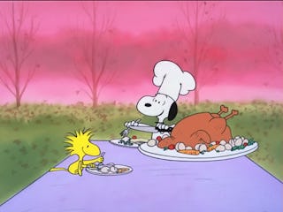 'A Charlie Brown Thanksgiving' is a beloved holiday special, but that doesn't mean it's without issu...