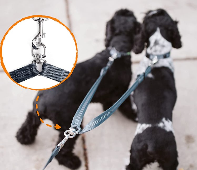 Mighty Paw Double Dog Leash