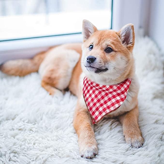 Remifa Dog Bandanas (6-Pack)