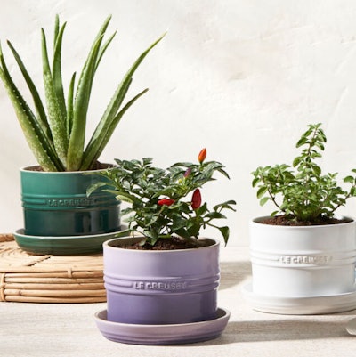 This Herb Planter is one of the best gifts to give a mother-in-law for Christmas.