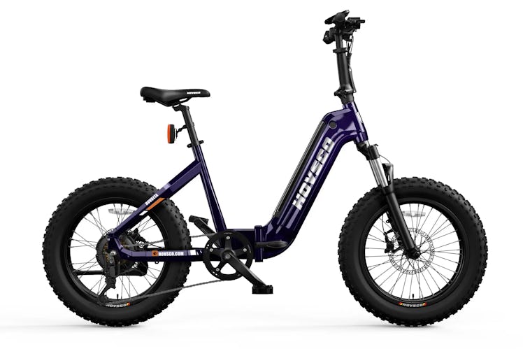 HovBeta 20" Foldable Fat Tire Electric Bike