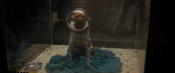 Cosmo the Spacedog sitting in a display case in 2014’s Guardians of the Galaxy