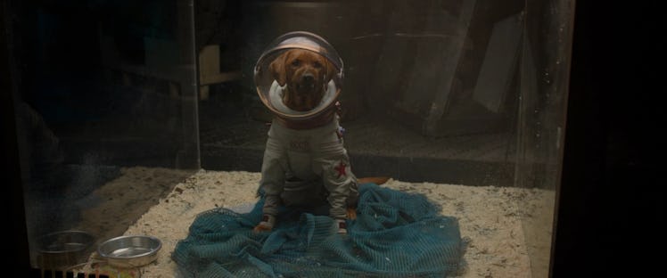 Cosmo the Spacedog sitting in a display case in 2014’s Guardians of the Galaxy