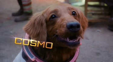 Cosmo the Spacedog (voiced by Maria Bakalova) in the Guardians of the Galaxy Holiday Special