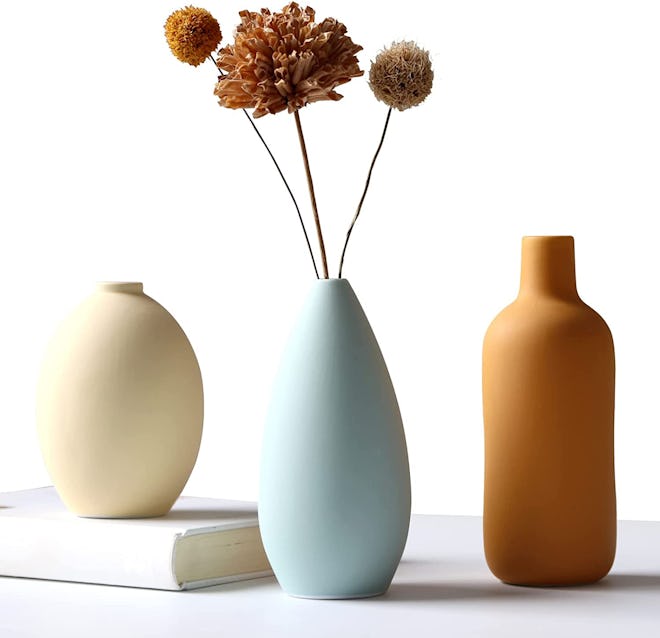 Abbittar Ceramic Vases (Set Of 3)