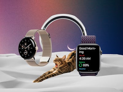 The Pixel Watch, Oura Ring, and Apple Watch, with a cat yawning in-between them.