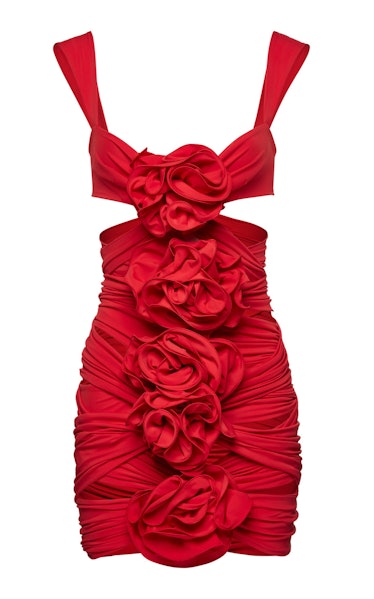 Magda Butrym Floral-Detailed Mini Dress