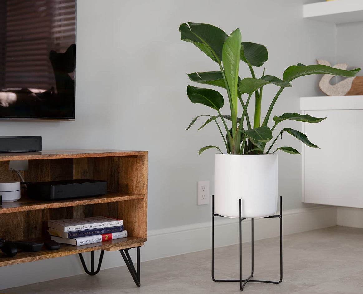 Bees &amp; Buds Tall Metal Plant Stand