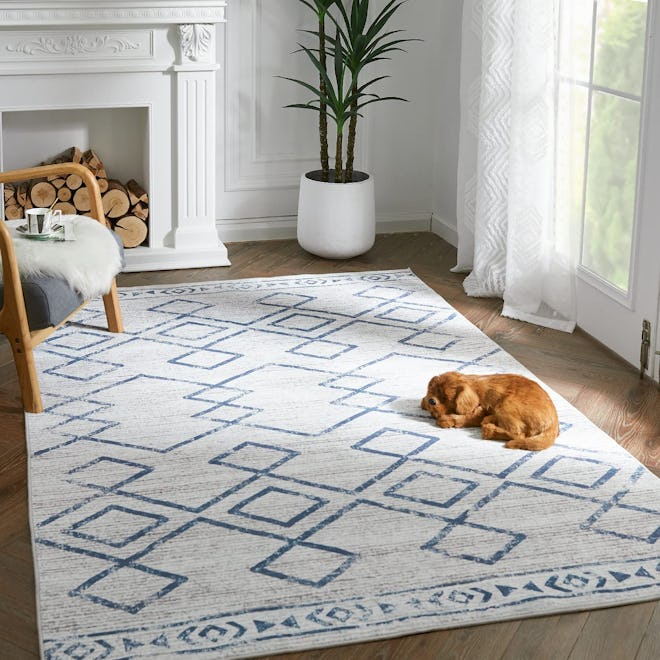 JINCHAN Area Rug