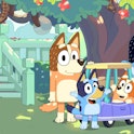 "Bluey" voice star Melanie Zanetti talks to Scary Mommy. Pictured here from left: Chilli, Bluey, Bin...