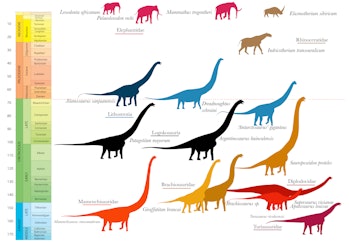 chart showing the size comparison of very large dinosaurs and how small large mammals are in compari...