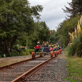 A railbiking tour pedals along a track