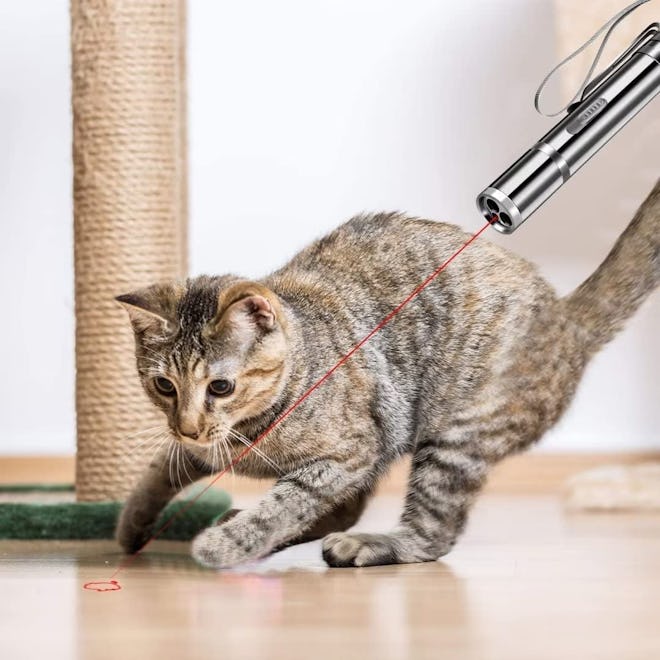 Cyahvtl Laser Pointer for Pets
