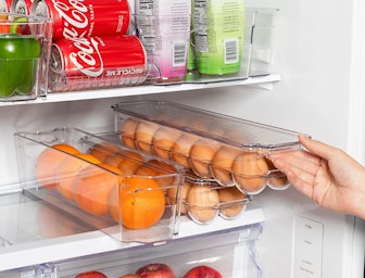 Greenco Egg Container for Refrigerator (Set of 2)