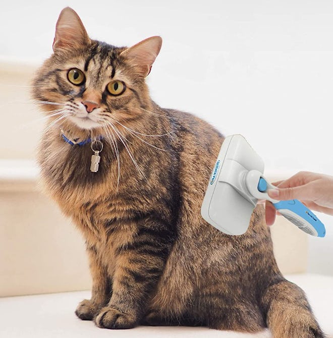 The Pet Portal Self Cleaning Pet Brush