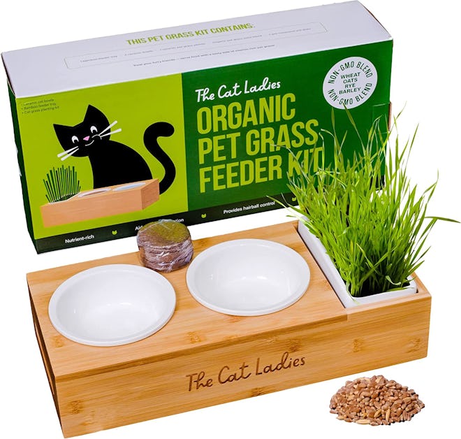  The Cat Ladies Bowls Stand & Organic Grass Growing Kit