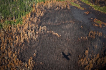 A plane flies over a burnt forest in the far east of Russia