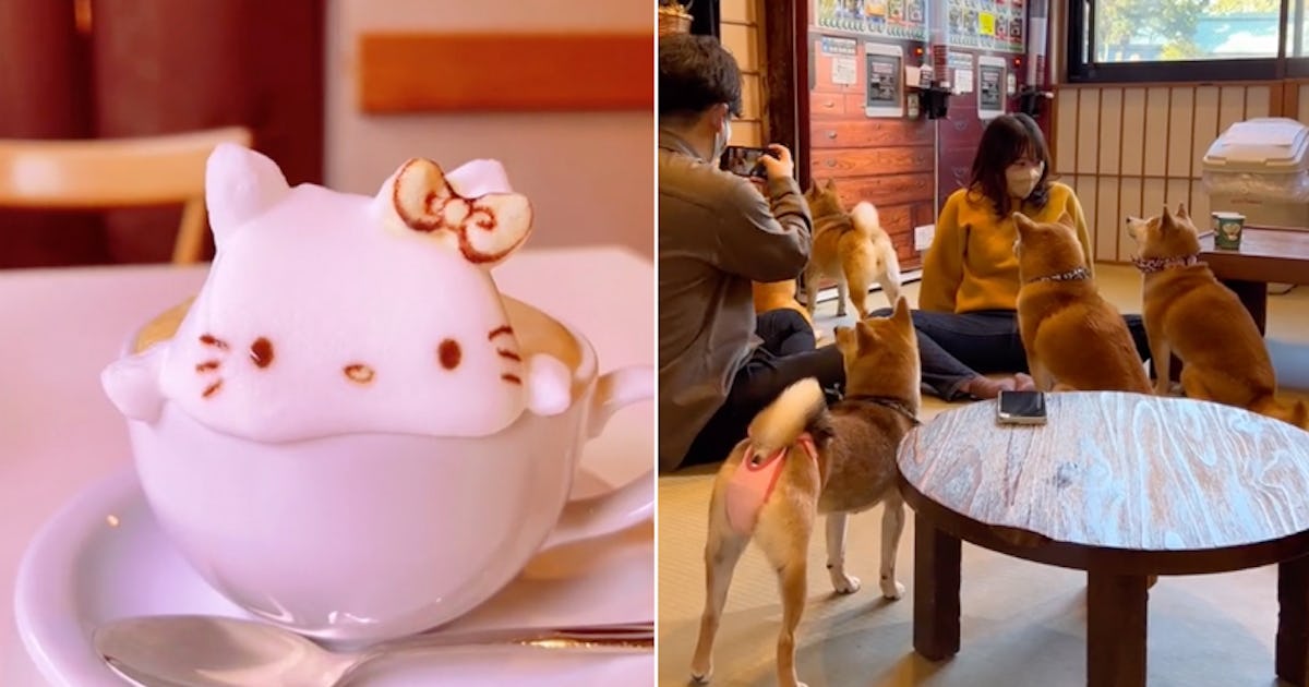 14 Things To Do In Japan From TikTok That Are Off The Beaten Path 14 Things To Do In Japan From TikTok That Are Off The Beaten Path