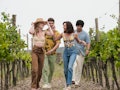 Meghann Fahy, Theo James, Aubrey Plaza, and Will Sharpe tour the winery from 'The White Lotus' Episo...