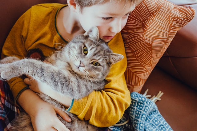 Cat shedding is usually normal and healthy, but it can indicate underlying medical issues.