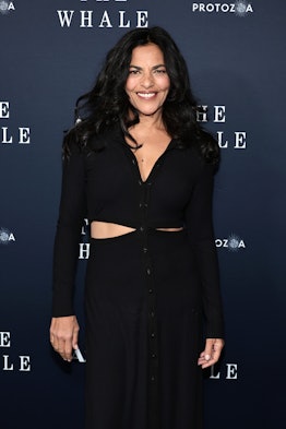 Sarita Choudhury attends "The Whale" New York Screening at Alice Tully Hall, Lincoln Center on Novem...